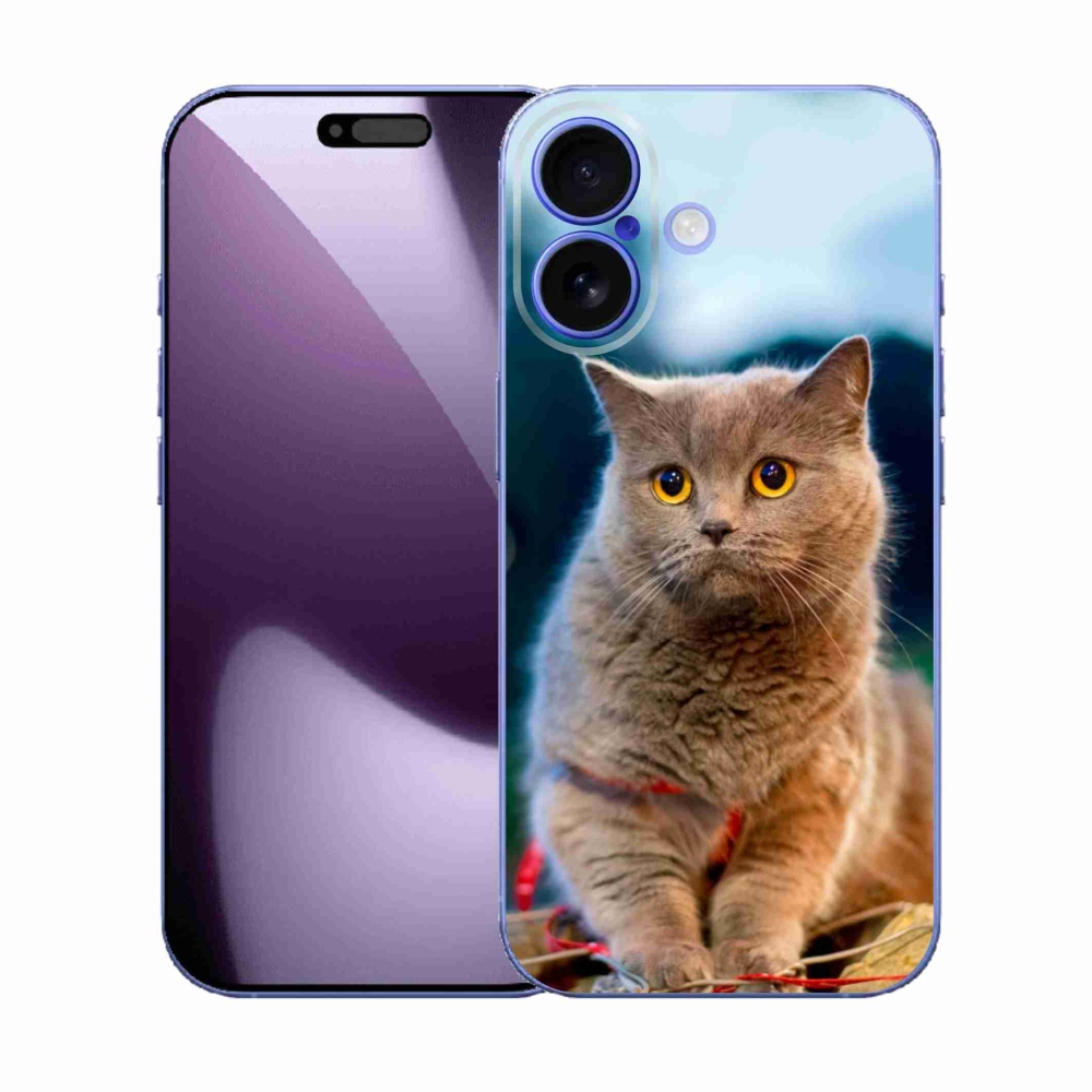 Gél borítás mmCase iPhone 17 készülékhez - Brit kék 2