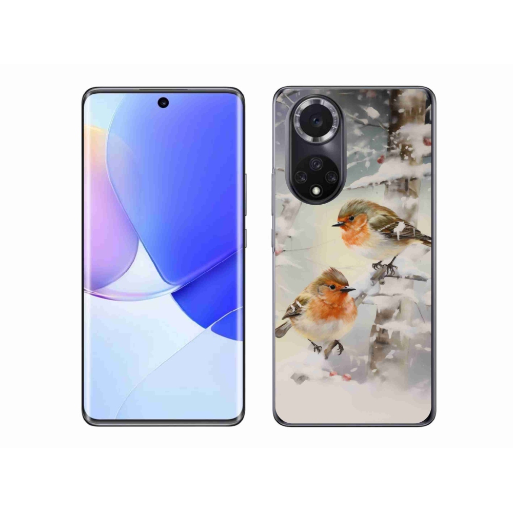 Gél borítás mmCase a Huawei Nova 9-hez - madarak télen