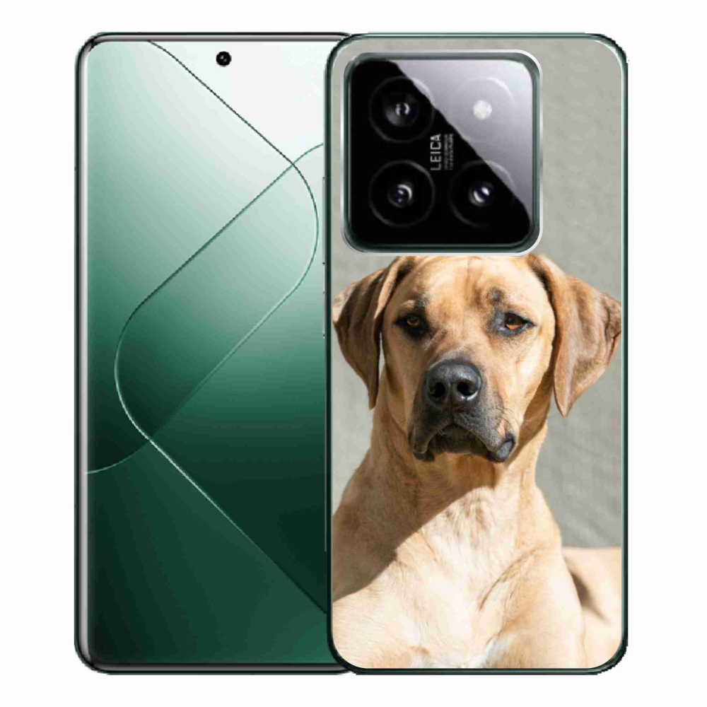 Gél borítás mmCase a Xiaomi 14 Pro-hoz - ridgeback