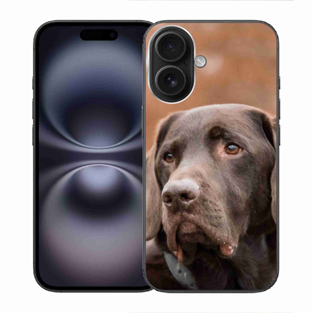 Gél tok mmCase iPhone 16 készülékhez - barna labrador