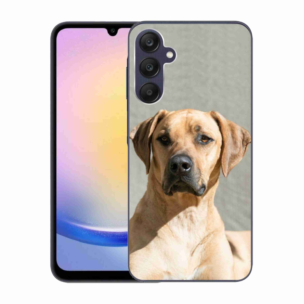 Gél védőhuzat mmCase Samsung Galaxy A25 5G - ridgeback