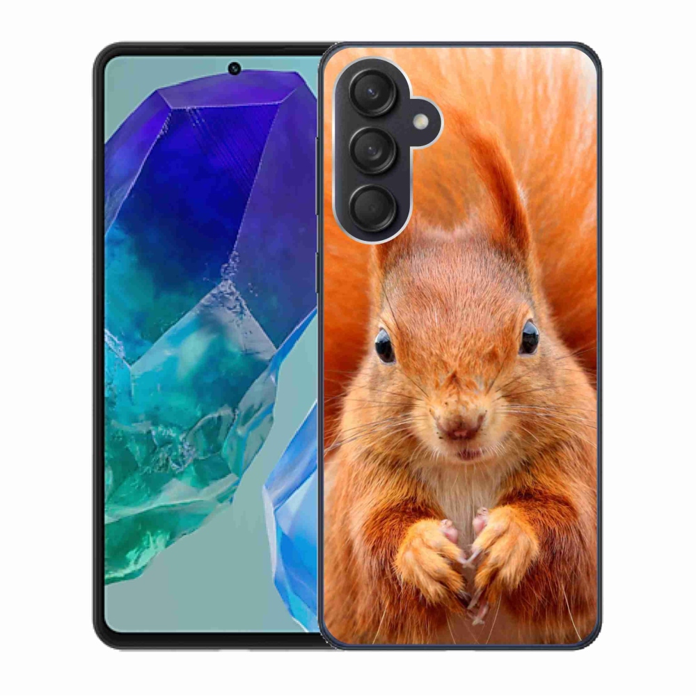 Gél védőhuzat mmCase Samsung Galaxy M55 5G - mókus