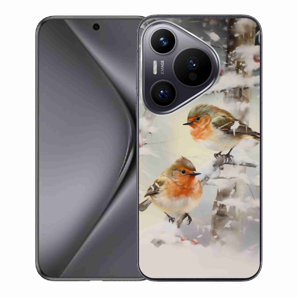 Gél borítás mmCase a Huawei Pura 70-hez - madarak télen