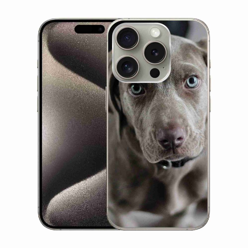 Gél tok mmCase iPhone 15 Pro készülékhez - Weimaraner