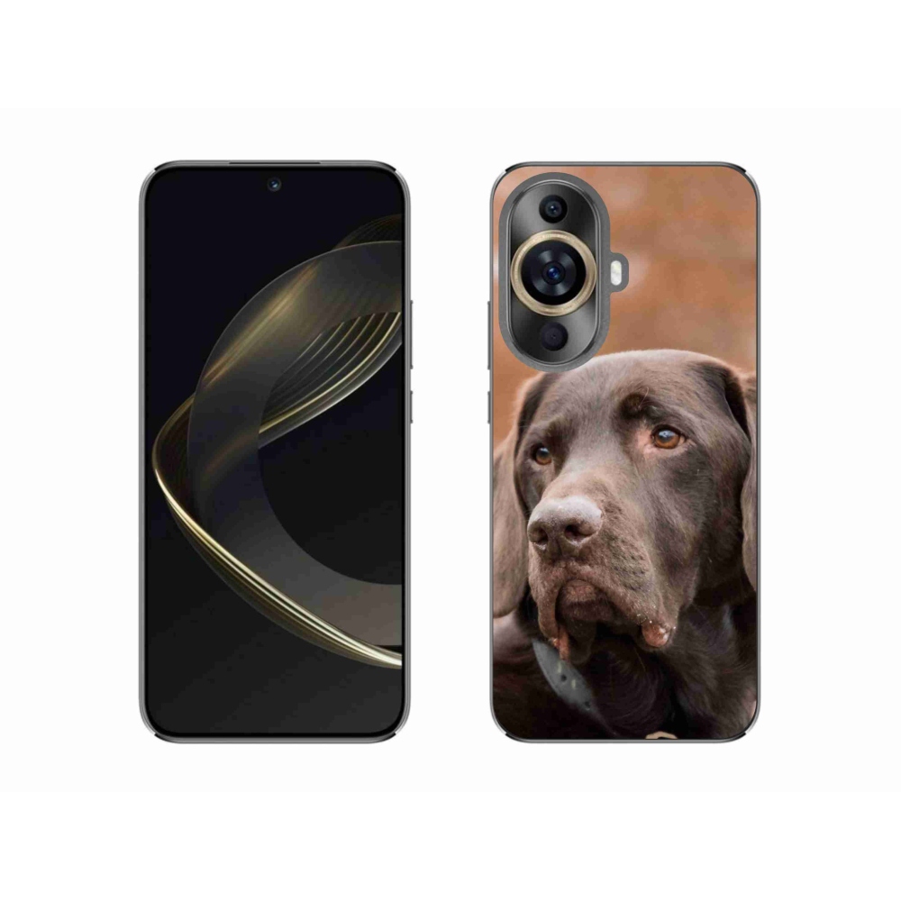 Gél tok mmCase a Huawei Nova 11-hez - barna labrador