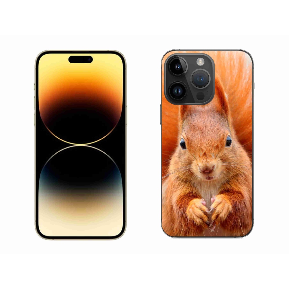 Zselés borítás mmCase iPhone 14 Pro Max készülékhez - mókus