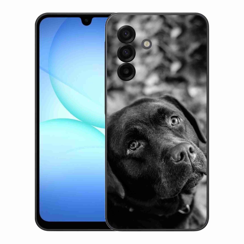 Gél borítás mmCase Samsung Galaxy A17 5G - labrador