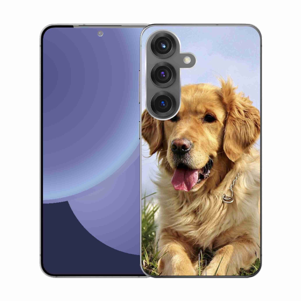 Gél borítás mmCase Samsung Galaxy S25 készülékhez - arany retriever