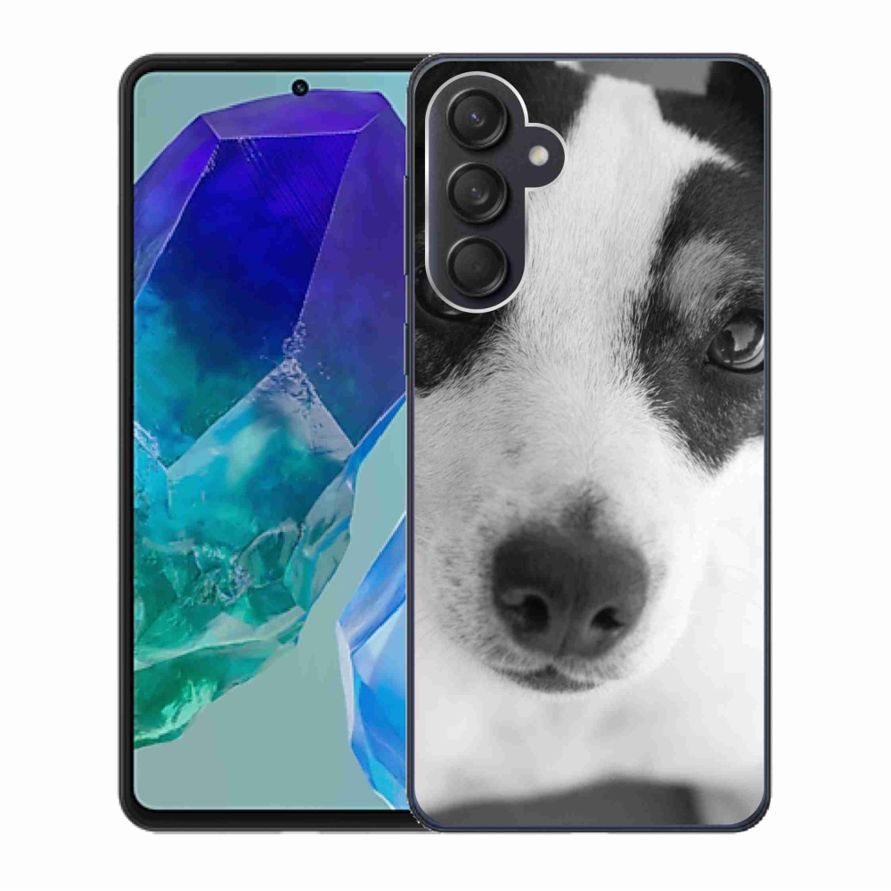 Zselés borítás mmCase Samsung Galaxy M55 5G - kutya
