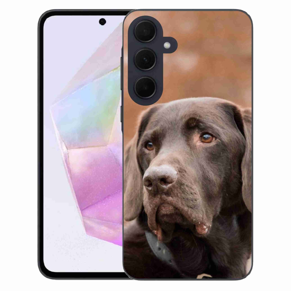 Gél tok mmCase a Samsung Galaxy A35 5G készülékhez - barna labrador