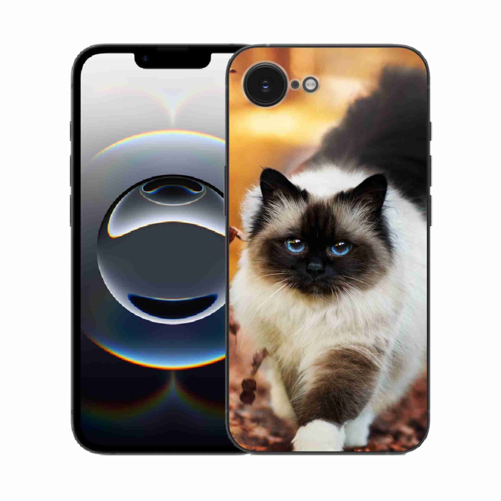 Zselés borítás mmCase iPhone 16e készülékhez - macska