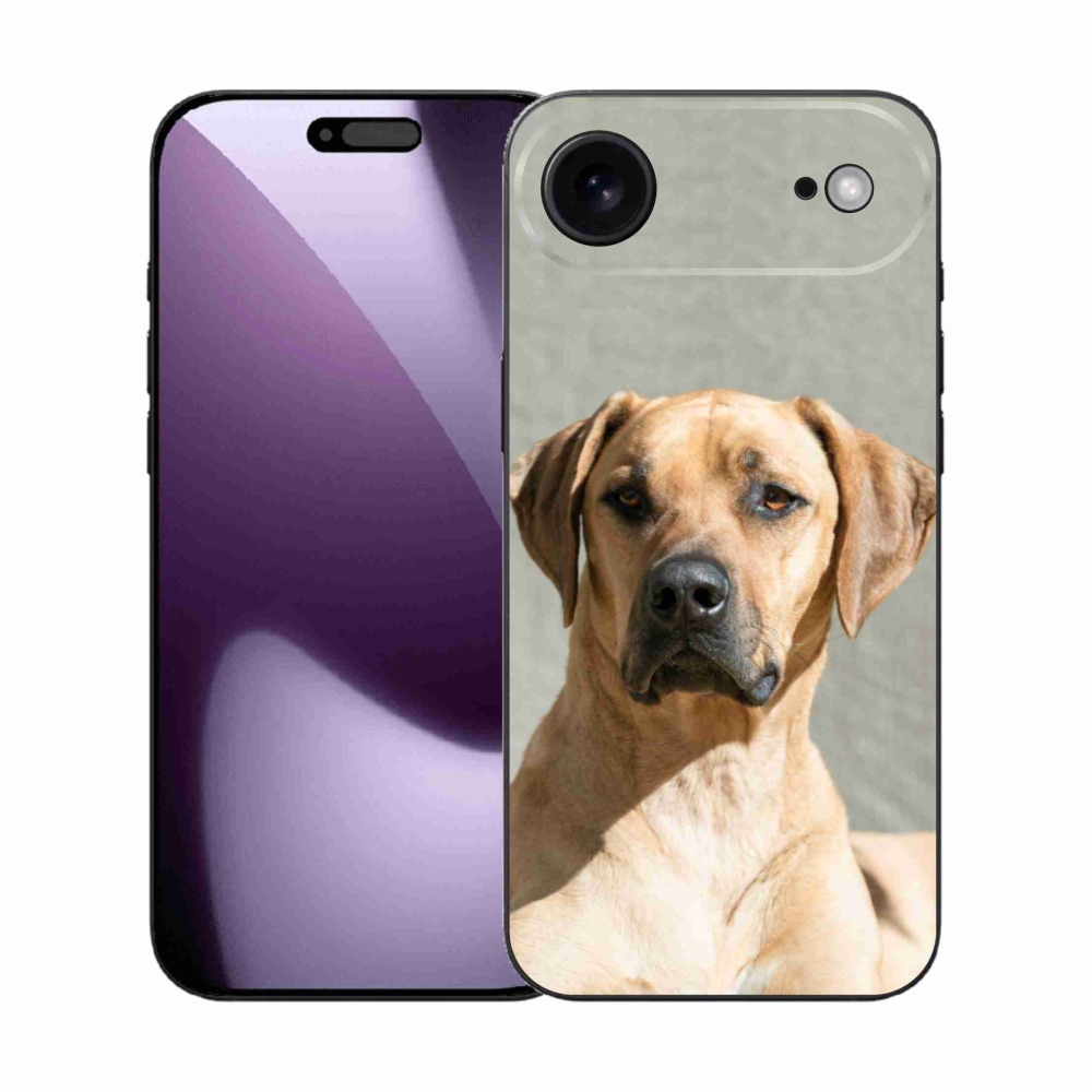 Gél borítás mmCase iPhone 17 Air készülékhez - ridgeback
