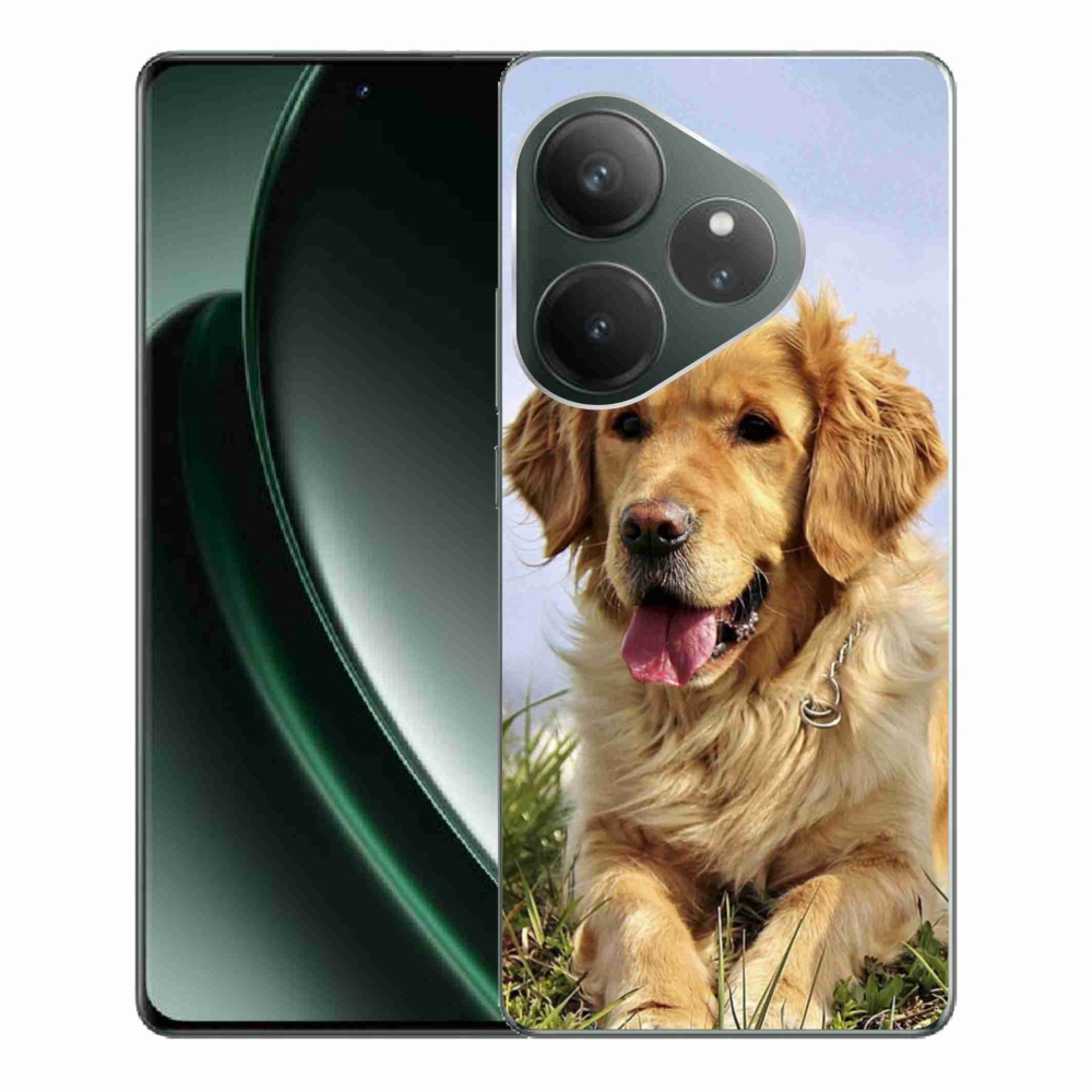 Gél tok mmCase a Realme GT 6 5G/GT 6T 5G számára - arany retriever